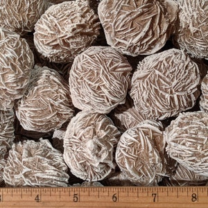 May include: A close-up of a group of brown and white desert rose crystals. The crystals are arranged in a pile and are about 2 inches in diameter. A ruler is visible in the bottom of the image.