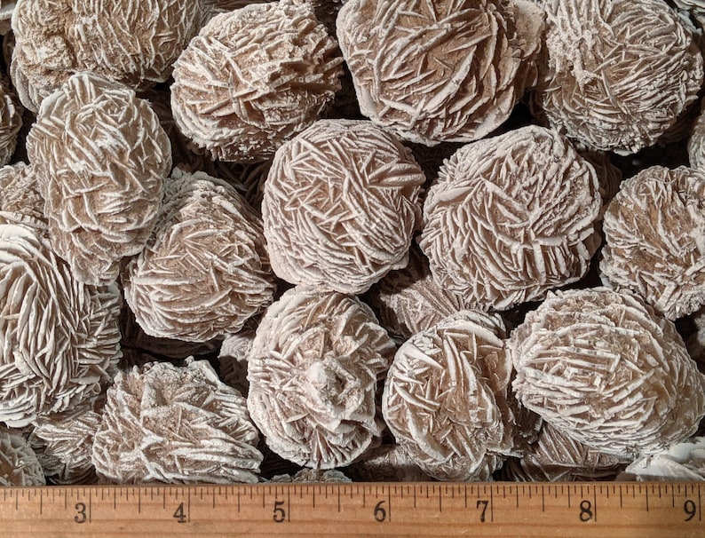 May include: A close-up of a group of brown and white desert rose crystals. The crystals are arranged in a pile and are about 2 inches in diameter. A ruler is visible in the bottom of the image.