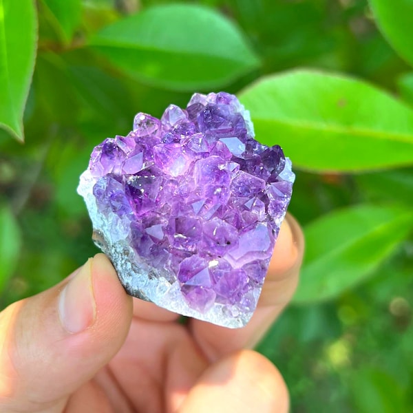 Amethyst Raw Clusters | "A" Grade | 1" - 4"+ Size | Purple Amethyst Crystal Clusters from Brazil | Amethyst Raw Crystal | Bulk Crystal