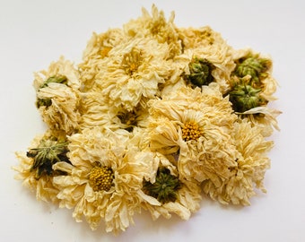 Chrysanthemum Flowers White | BULK | From Chrysanthemum Plant | Flower