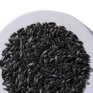 Sunflower Sprouting Seeds