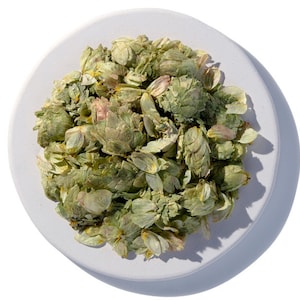 Hops Flowers