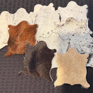 Mini Cowhide Coasters, Cowhide Coasters, Western Cowhide Coaster, Leather Coasters, Real Cowhide, Assorted Colors