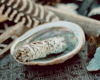 California White Sage Smudge Stick | 4 inch Incense