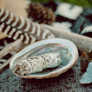 Californië Witte Salie Smudge Stick | 4 inch wierook