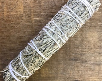 Shasta Sage | Blue Sage | Grandmother Sage | Mountain Desert Sage | 3-4 Inches | Smudge Stick