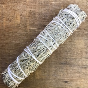 Shasta Sage | Blue Sage | Grandmother Sage | Mountain Desert Sage | 3-4 Inches | Smudge Stick