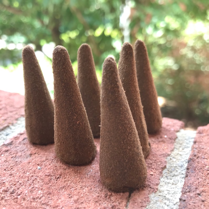 Cedar Cone Incense 10 Cones All Natural Holy Smoke Incense Etsy