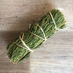 Arborvitae Smudgestick | 4 inch | Wild geoogste wierook