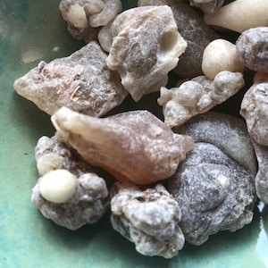Superior quality Oman Brown Sacra Frankincense Tears Resin | 0.5 oz | Incense