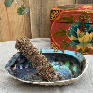 May include: A sage smudge stick rests in an iridescent abalone shell. The shell is oval-shaped with a pearlescent interior. A decorative red and gold chest is in the background. The sage bundle is tied with twine.