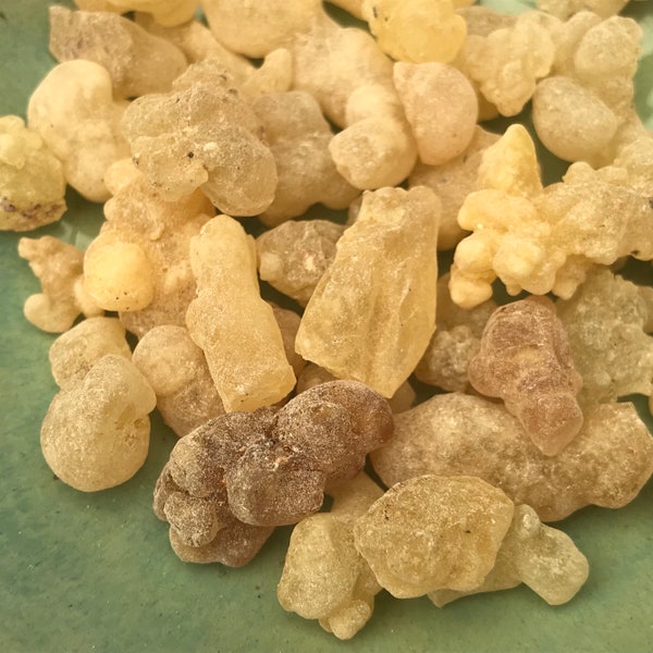 Ethiopian Gold Frankincense Tears Resin | 0.5 oz | Incense | Boswellia carterii