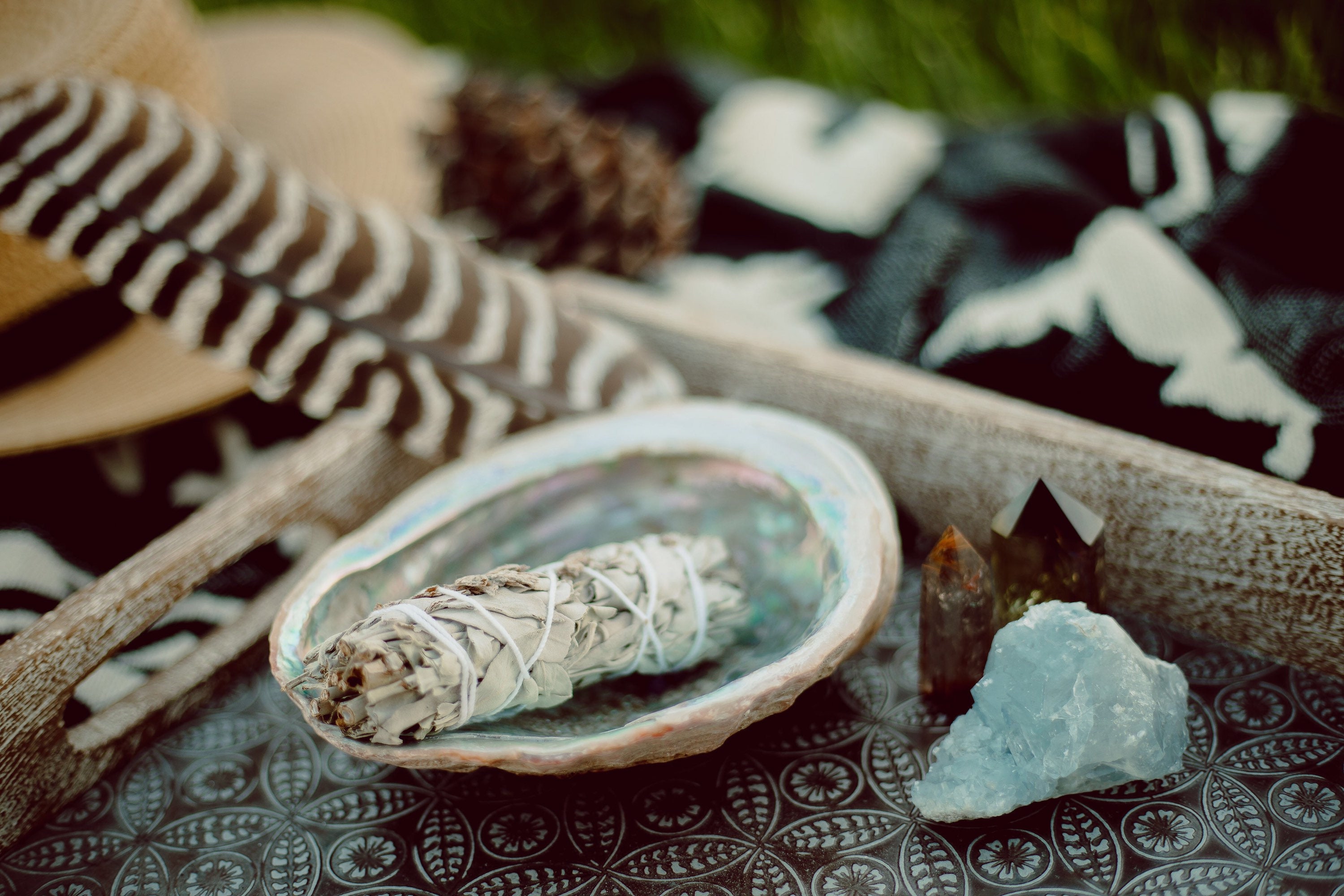 California White Sage Smudge Stick | 4 inch Incense