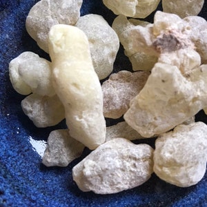 Indian Frankincense Tears Resin | 0.5 oz | Boswellia serrata | Incense