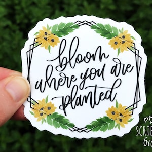 May include: White sticker with a black geometric frame and watercolor sunflowers. The text inside the frame reads "bloom where you are planted". The sticker has a small logo at the bottom that reads "Scribing Grace".