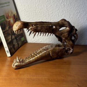 3d printed Spinosaurus dinosaur skull head skull model dinosaur 1:1