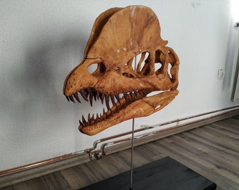 アクロカントサウルス骨格モデル - 長さ8インチ、ベース付き、組み立て
