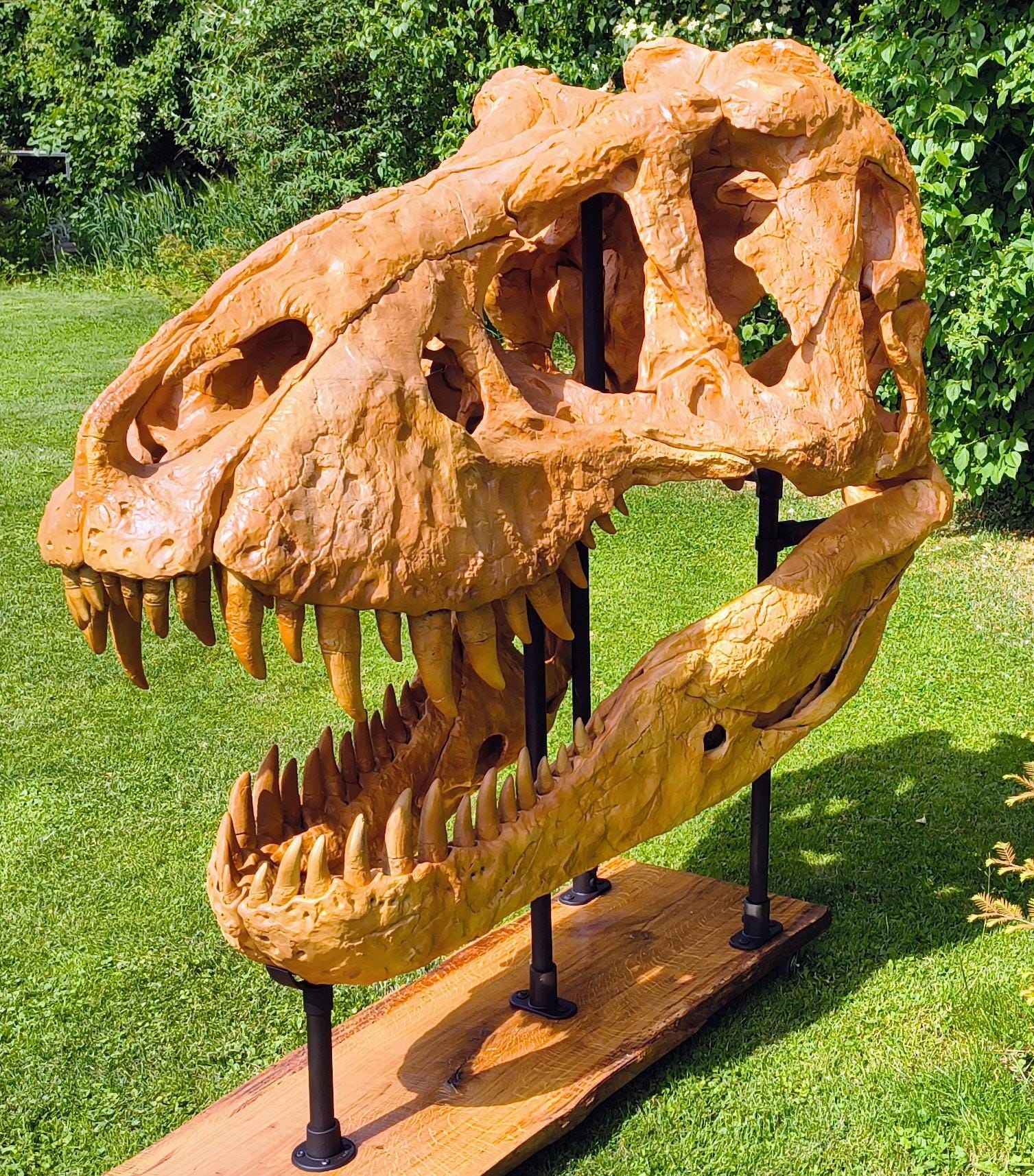 3DプリントTREX、ティラノサウルスレックスの頭蓋骨骨格モデル恐竜1：2