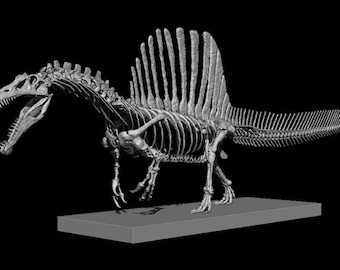 il_340x270.4953788471_q2nu.jpg