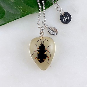 Real Spotted Ground Beetle Heart Necklace | 16K Gold/Rhodium Plated Ball Chain | Valentine's Day Necklace | Resin Necklace