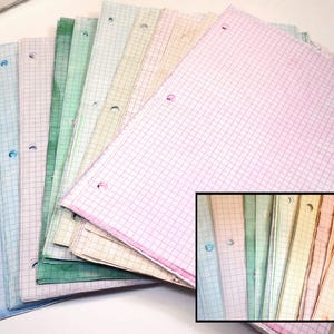 May include: A stack of loose-leaf graph paper sheets in a fan arrangement, featuring a grid pattern and three punched holes along the left edge. The paper comes in a variety of pastel colors including blue, green, yellow, orange, and pink.