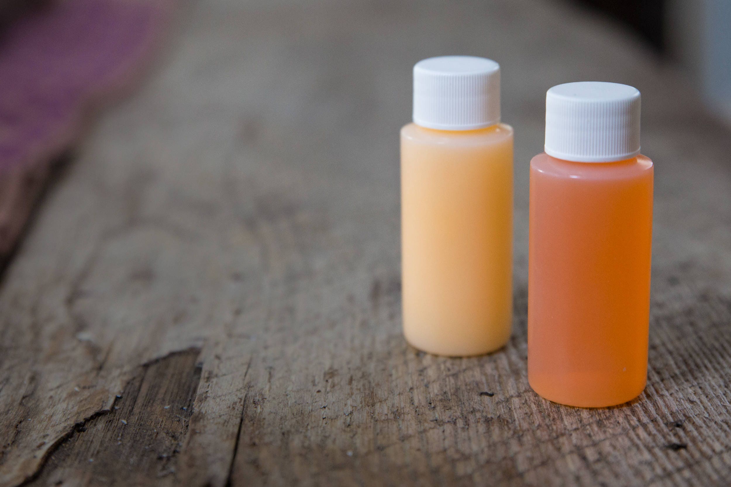 Organic Bulk Shampoo and Conditioner Bundle for Airbnb Hosts Etsy