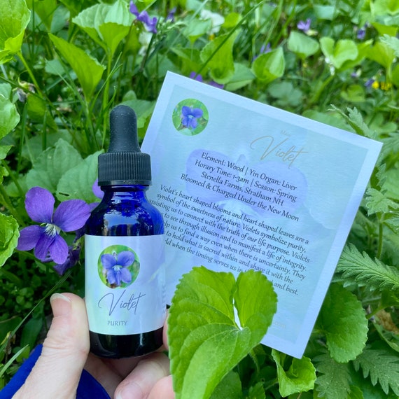 Violet Flower Essence Purity — Stenella Farms