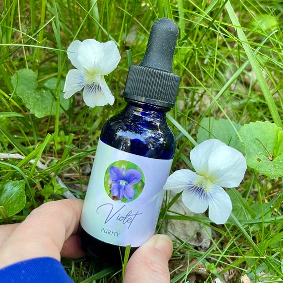 Violet Flower Essence Purity — Stenella Farms