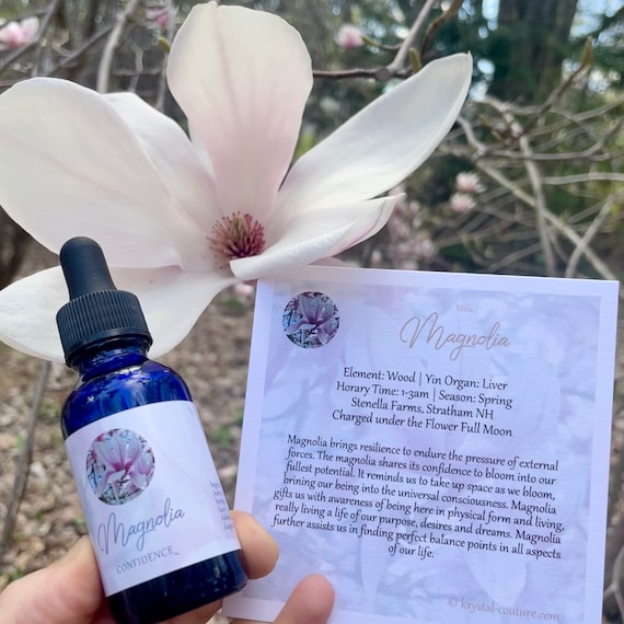 Magnolia Flower Essence Confidence — Stenella Farms