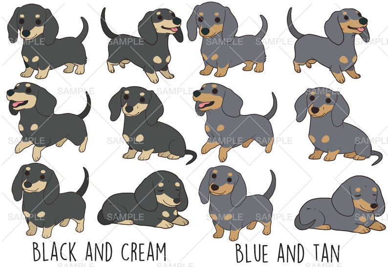 Vector Dapple Dachshund Clipart, Vector SVG EPS, PNG Clip Art, Uso comercial ...