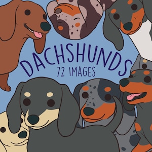 Dachshund Clipart, Vector SVG EPS, PNG Clip Art, Commercial Use, Download, Dapple Black Tan Piebald Dog, Cute Pet Digital Graphics Stock Art