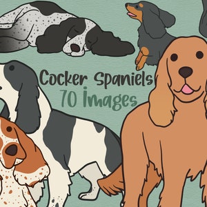 Cocker Spaniel Clipart, PNG Clip Art, Red Black Blue Orange Roan Dog, Commercial Use, Instant Download, Cute Pet Digital Graphics, Stock Art