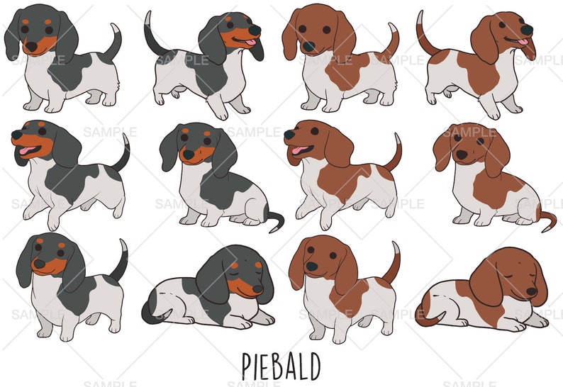 Vector Dapple Dachshund Clipart, Vector SVG EPS, PNG Clip Art, Uso comercial ...