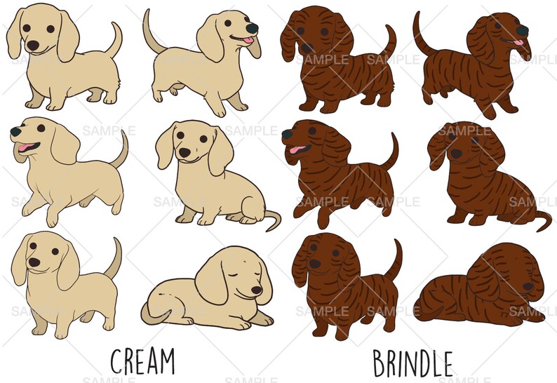 Vector Dapple Dachshund Clipart, Vector SVG EPS, PNG Clip Art, Uso comercial ...
