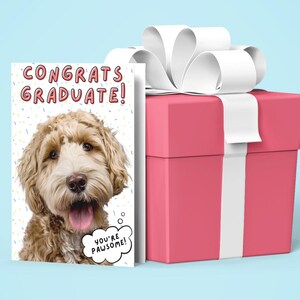 Carte de remise des diplômes pour chien, diplôme d'études secondaires, remise des diplômes universitaires, carte d'amant de chien, cadeaux de remise des diplômes, 5 x 7