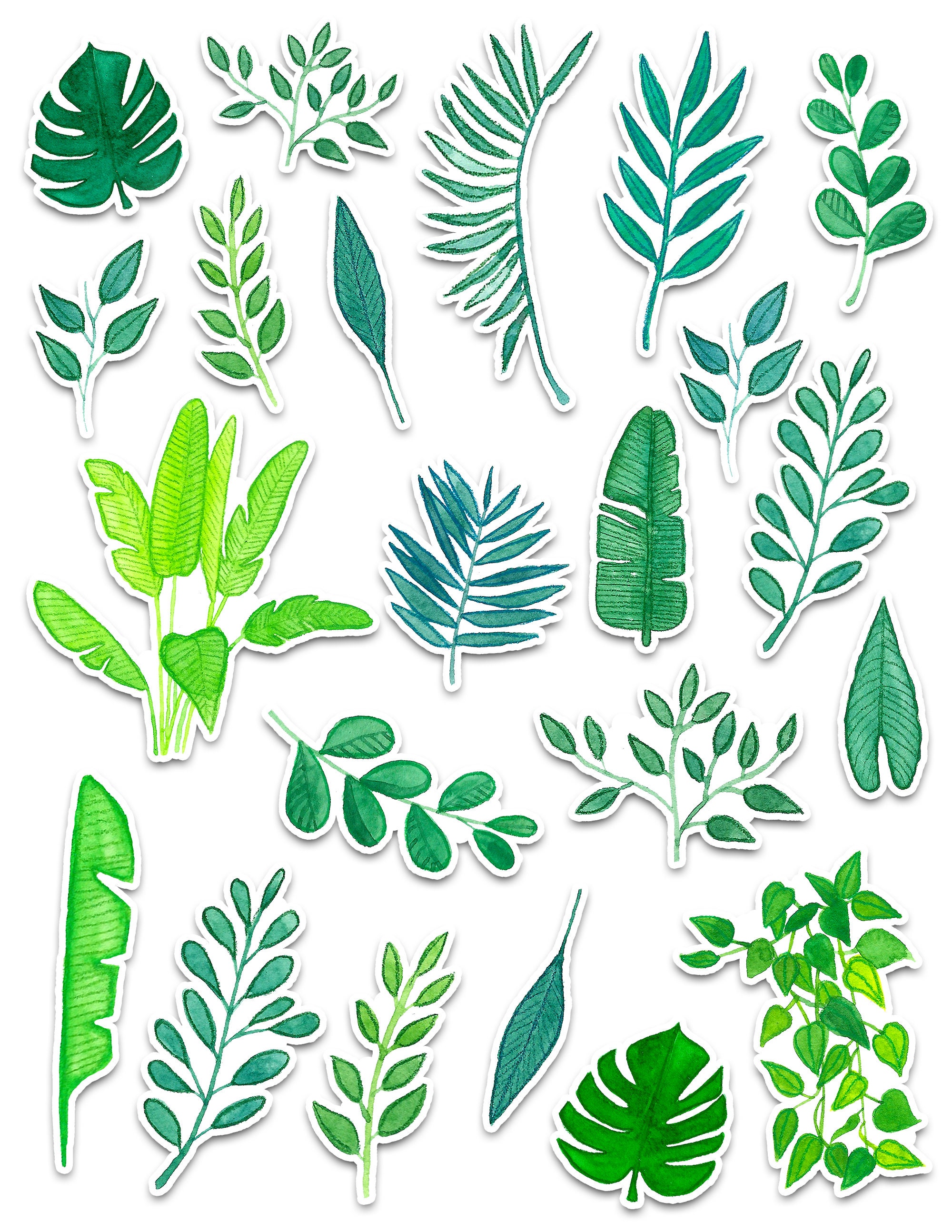Plants Sticker Set Plants Stationary Stickers Green Etsy UK