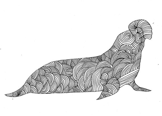 Elephant Seal Barwienia Strona Digital Download Barwnik Dla Etsy