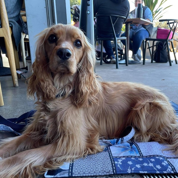 Waterproof Dog Mat. Handmade Portable/travel/cafe mat. Blue Floral Patchwork. Folds into a bag with handles. Durable and Machine washable.