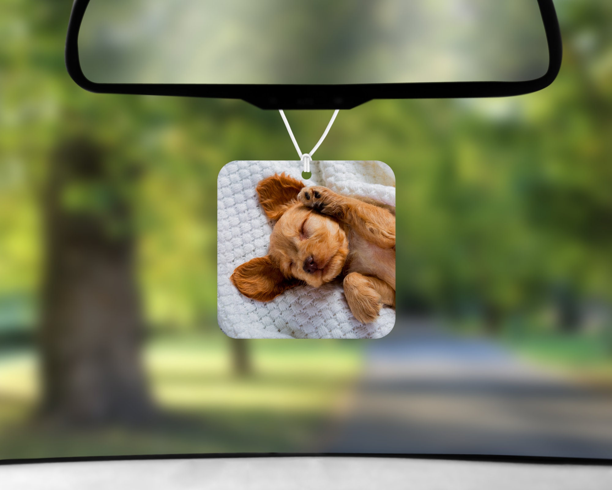 Custom Photo Car Air Freshener Etsy UK