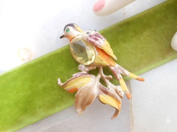 Vintage Bird Jelly Belly Brooch Celluloid Pin Old… - image 3
