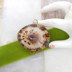 May include: A round, natural seashell pendant with a gold-colored metal frame. The shell features a brown and cream pattern. The pendant is displayed on a green velvet ribbon. The background is a white surface.