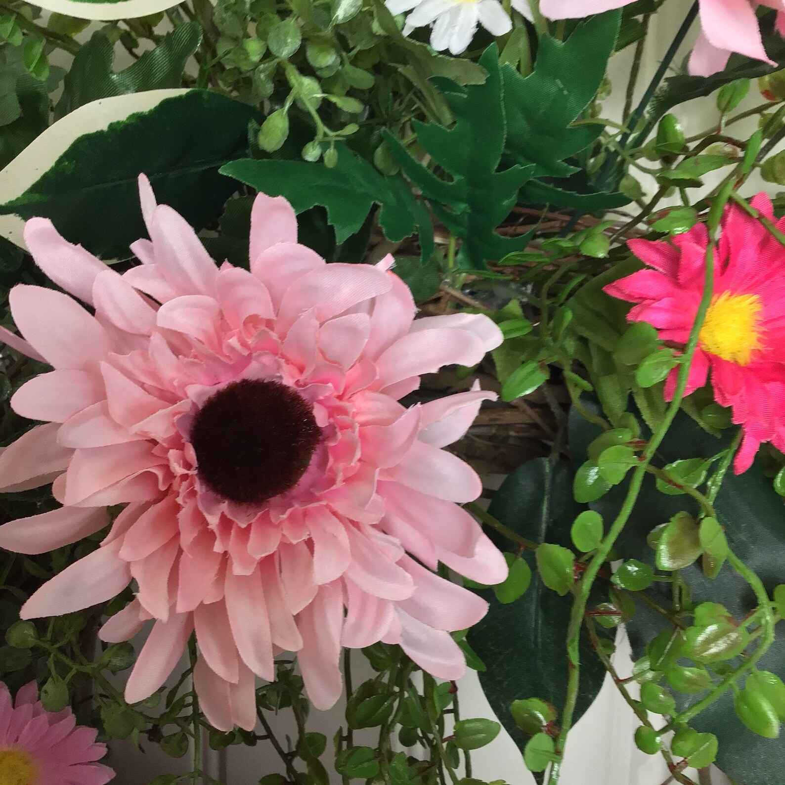 Daisy Door Wreath Summer Door Decor Summer Wreath Front Door Etsy