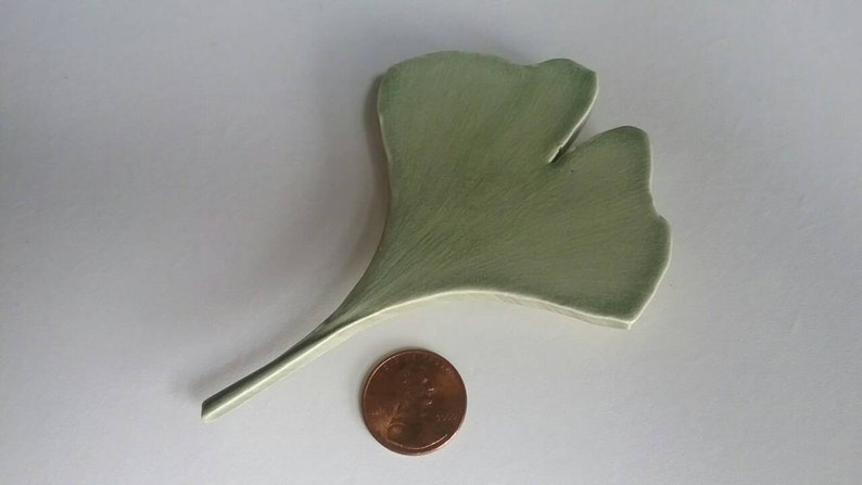 Ginkgo leaf magnet