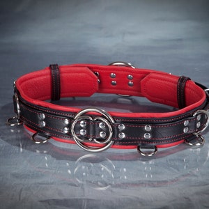 Bondage Waist Belt