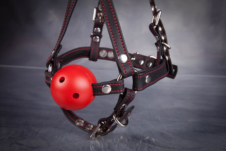 harness gag