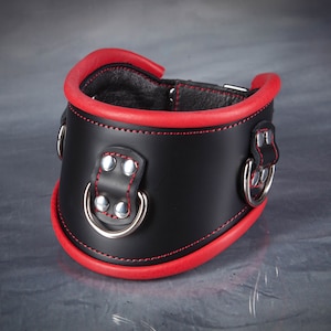 Posture Collar with Buckle Closure