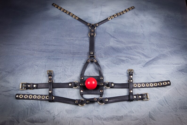 Panel Harness Gag / Brass Hardware Etsy Australia