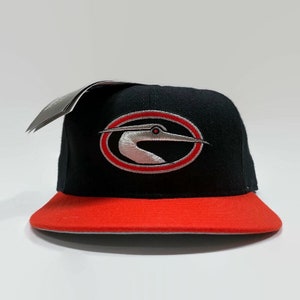 Delmarva Shorebirds MiLB Class A South Atlantic League New Era Fitted Baseball Hat Size 7 3/8 Circa 1990s