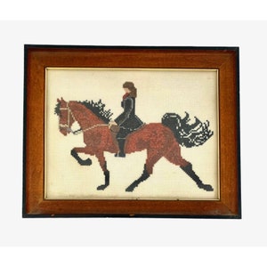 Women Horse Riding Cross Stitch Framed Equestrian Vintage Classic Gift Decor Art