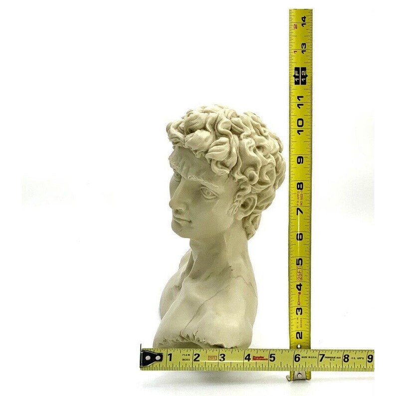 Bust Michelangelos David Statue Vintage Hand Made Marble Look Etsy